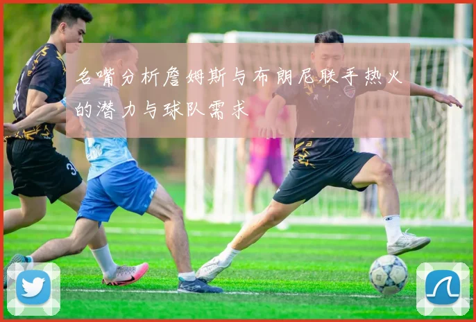 名嘴分析詹姆斯与布朗尼联手热火的潜力与球队需求